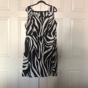 Dressbarn zebra dress